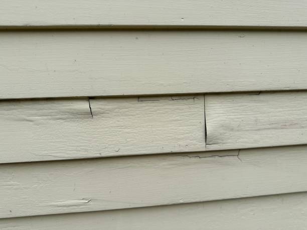 Best Custom Siding Design  in Mbrian Park, CA